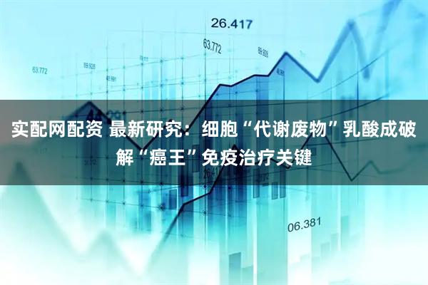 实配网配资 最新研究：细胞“代谢废物”乳酸成破解“癌王”免疫治疗关键