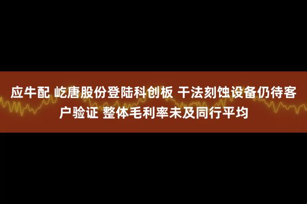 应牛配 屹唐股份登陆科创板 干法刻蚀设备仍待客户验证 整体毛利率未及同行平均