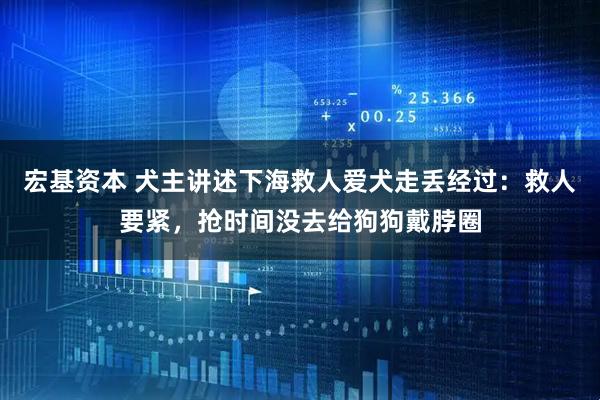 宏基资本 犬主讲述下海救人爱犬走丢经过：救人要紧，抢时间没去给狗狗戴脖圈