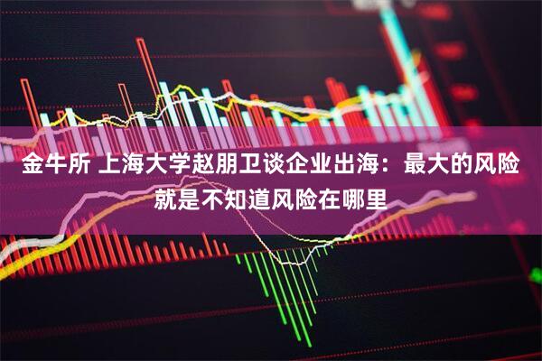 金牛所 上海大学赵朋卫谈企业出海：最大的风险就是不知道风险在哪里