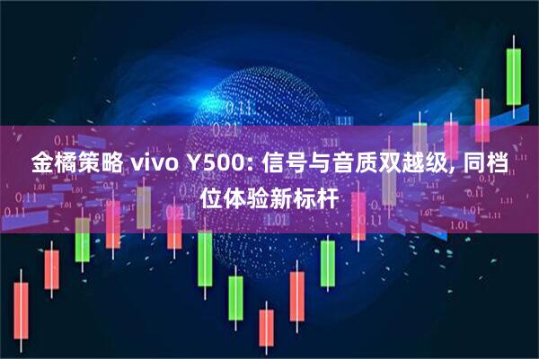 金橘策略 vivo Y500: 信号与音质双越级, 同档位体验新标杆