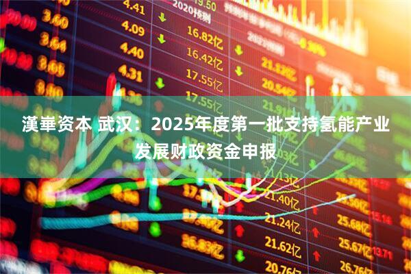 漢崋资本 武汉：2025年度第一批支持氢能产业发展财政资金申报