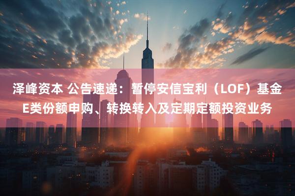 泽峰资本 公告速递：暂停安信宝利（LOF）基金E类份额申购、转换转入及定期定额投资业务