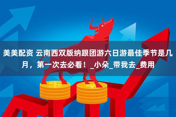 美美配资 云南西双版纳跟团游六日游最佳季节是几月，第一次去必看！_小朵_带我去_费用